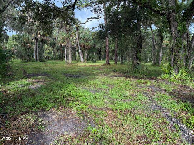 0 Tionia Road - Photo 1