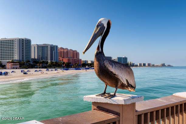 https://bt-photos.global.ssl.fastly.net/daytonabeach/orig_boomver_1_1225979-2.jpg