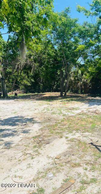 849 Hollywood Street - Photo 1