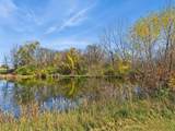 1132 Goodrich Street - Photo 8
