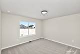 1497 Foxtail Drive - Photo 20