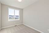 5616 Creek Ridge Drive - Photo 24