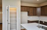 9479 Emilia Lane - Photo 15