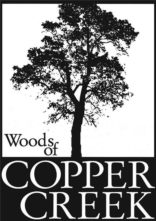 Lot 14 Wood Of Copper Creek Plat 3 Street - Photo 1