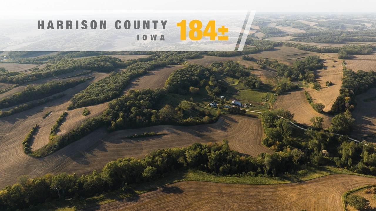 2183 208th Lane - Photo 1
