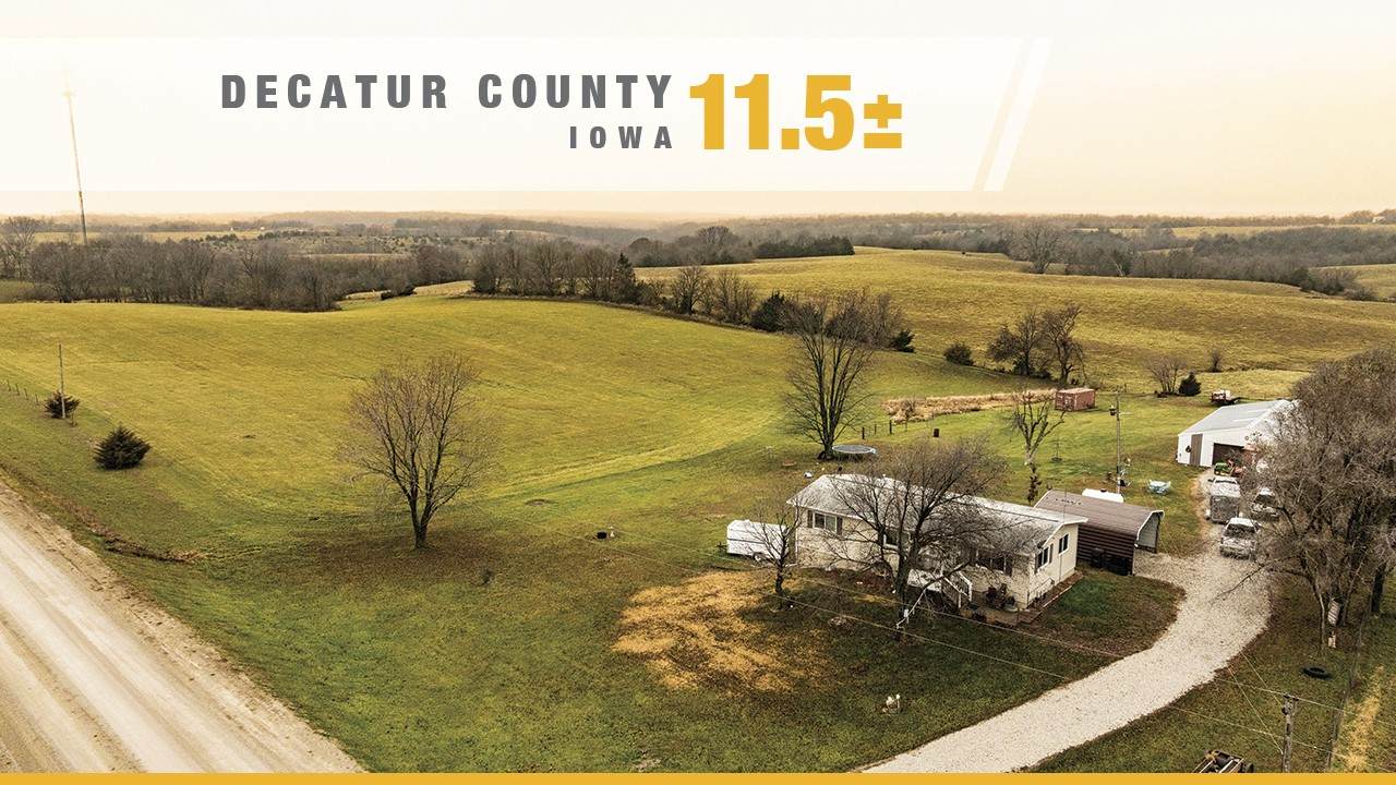 12273 211TH Avenue - Photo 1