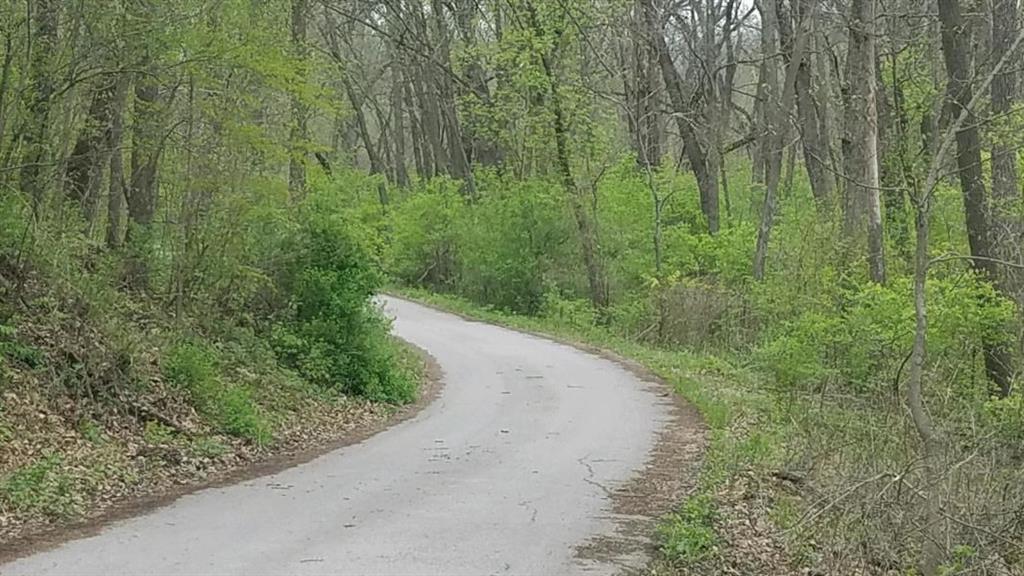 N North Dakota Avenue - Photo 1