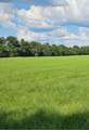 232/344 County Road 344 - Photo 10