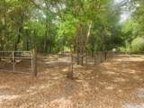  122nd Ln - Photo 10