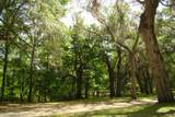  127th St - Photo 13