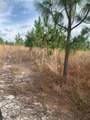  County Road 480 - Photo 12