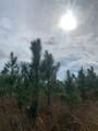  County Road 480 - Photo 13