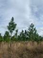  County Road 480 - Photo 15