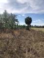  County Road 480 - Photo 6