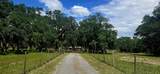 9398 Hwy 351 - Photo 4