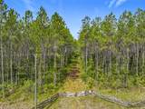TBD County Road 336 - Photo 10