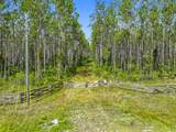 TBD County Road 336 - Photo 11