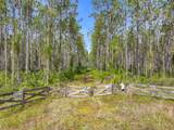 TBD County Road 336 - Photo 12