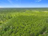 TBD County Road 336 - Photo 13