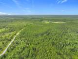 TBD County Road 336 - Photo 14