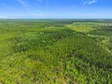 TBD County Road 336 - Photo 16