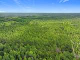 TBD County Road 336 - Photo 17