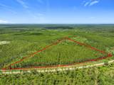 TBD County Road 336 - Photo 3