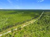 TBD County Road 336 - Photo 5