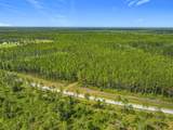 TBD County Road 336 - Photo 7