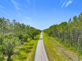 TBD County Road 336 - Photo 9