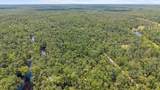 2338 Ancient Oaks Dr - Photo 15