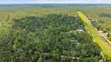 2338 Ancient Oaks Dr - Photo 33