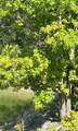 TBD 489th St - Photo 23