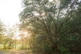 2330 County Road 340 - Photo 31