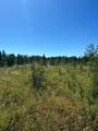 Lot 1 50th Ave - Photo 21