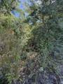 TBD County Road 129 - Photo 11