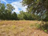TBD County Road 138 - Photo 1