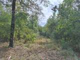 TBD County Road 138 - Photo 10