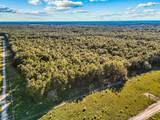 TBD County Road 138 - Photo 19
