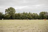 Lot 1 Country Hall Road - Photo 19