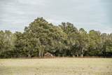 Lot 4 Country Hall Road - Photo 26