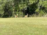 21800 15th Ave - Photo 45