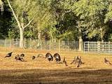 21800 15th Ave - Photo 46
