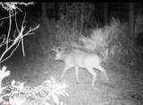 00 Waters Pond Rd - Photo 23