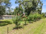 8387 Hwy 353 - Photo 5