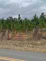  County Road 480 - Photo 18
