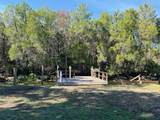 12 Palm Dr - Photo 43