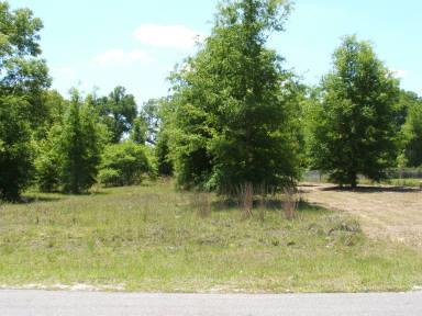 12th Dr - Photo 1
