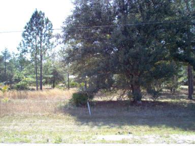 Lot 99 County Road 349 - Photo 1 Lot 99 County Road 349 - Photo 1