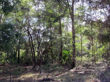 Lot 23 83rd St - Photo 1 Lot 23 83rd St - Photo 1